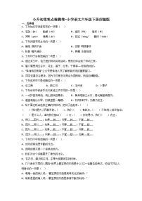 小升初重难点检测卷-2022-2023学年语文六年级下册（统编版）