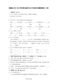 部编版2022-2023学年湖北省武汉市小升初语文质量检测卷（A卷）含解析