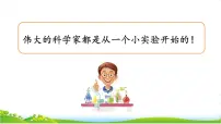 语文三年级下册习作:我做了一项小实验精品ppt课件