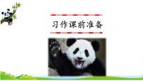 人教部编版三年级下册第七单元习作：国宝大熊猫精品ppt课件