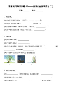 统编版小学语文二年级下册期末复习专项训练题07——按课文内容填空（二）