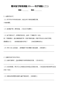 统编版小学语文四年级下册期末复习专项训练题13——句子训练(二)