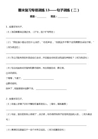 统编版小学语文六年级下册期末复习专项训练题13——句子训练（二）