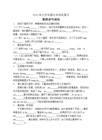 小升初专项总复习-看拼音写词语B卷-2022-2023学年语文六年级下册（统编版）