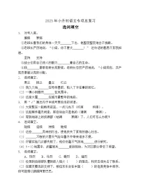 小升初专项总复习-选词填空A卷-2022-2023学年语文六年级下册(统编版)