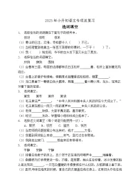 小升初专项总复习-选词填空B卷-2022-2023学年语文六年级下册(统编版)