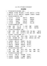 小升初专项总复习-字形辨析A卷-2022-2023学年语文六年级下册（统编版）