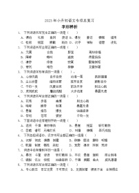 小升初专项总复习-字形辨析B卷-2022-2023学年语文六年级下册（统编版）