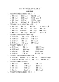 小升初专项总复习-字音辨析B卷-2022-2023学年语文六年级下册（统编版）