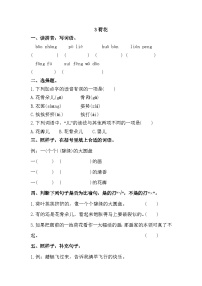 人教部编版三年级下册荷花课后复习题