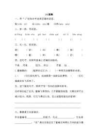 人教部编版三年级下册蜜蜂当堂达标检测题