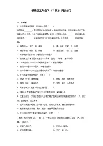 小学语文跳水复习练习题