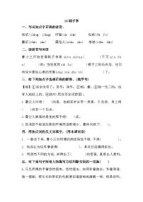 人教部编版刷子李同步测试题
