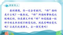 小学语文人教部编版三年级上册那一定会很好一等奖ppt课件