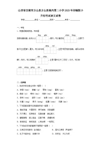 山西省吕梁市方山县方山县城内第二小学2023年部编版小升初考试语文试卷（含解析）