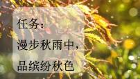 小学语文人教部编版三年级上册秋天的雨优质ppt课件