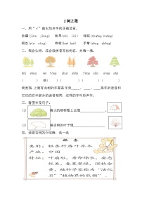 小学人教部编版树之歌课时练习