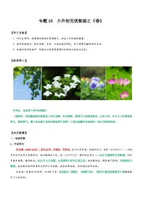 统编版语文小升初暑期提升讲练 专题10 同步讲义:《春》新课预习(原卷版+解析版)