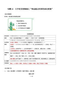 统编版语文小升初暑期提升讲练 专题14  拓展讲义：【体会重点词语的表达效果】（原卷版+解析版）