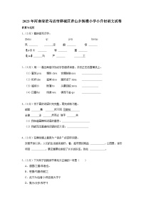 2023年河南省驻马店市驿城区香山乡杨楼小学小升初语文试卷（有解析）