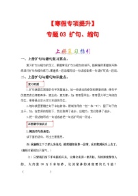 专题03 扩句、缩句-2023-2024学年五年级语文上册寒假专项提升（部编版）