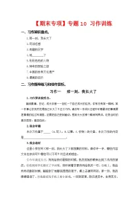 专题 10习作训练 -2023-2024学年五年级语文下册期末项复习(部编版)