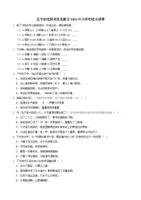 辽宁省沈阳市沈北新区2023年小升初语文试卷（解析版）