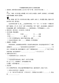 广东省深圳市龙华区2023年小升初语文试卷（解析版）