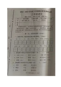 山东省临沂市河东区2022-2023学年三年级下学期期末考试语文试题