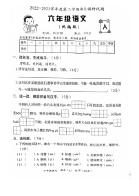 邯郸市临漳县临漳县南东坊镇中心校2022-2023学年六年级下学期语文期末考试