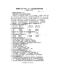 福建省漳州市诏安县集团校2022-2023学年六年级下学期期末考试语文试题