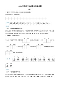 2022-2023学年湖南省邵阳市新邵县部编版三年级下册期末考试语文试卷（解析版）