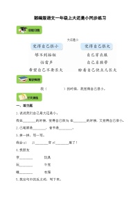 小学语文人教部编版一年级上册大还是小精品学案