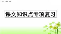 小学语文部编版三年级上册期末课文知识点复习课件（2023秋新课标版）