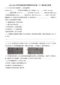 河南省郑州市新郑市2022-2023学年五年级下学期期末语文试卷