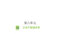 小学语文人教部编版四年级上册王戎不取道旁李教课内容课件ppt