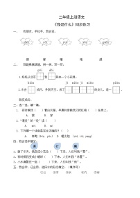 人教部编版二年级上册我是什么练习