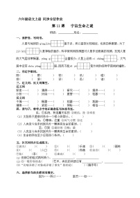 小学语文人教部编版六年级上册宇宙生命之谜精品课后作业题