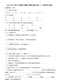 广东省湛江市廉江市横山镇2021-2022学年五年级下学期期末语文试题