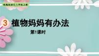 小学语文人教部编版二年级上册植物妈妈有办法教课内容课件ppt