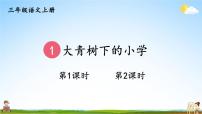 小学人教部编版大青树下的小学教学课件ppt