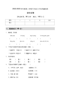 【高效提升】小升初语文冲刺卷（A卷）（部编版有答案）