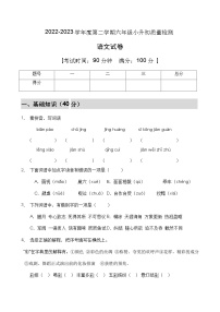 【高效提升】小升初语文冲刺卷（C卷）（部编版有答案）