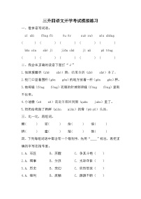 统编版语文四年级上册三升四 语文开学考试模拟练习（无答案）