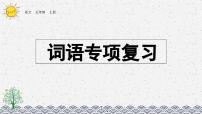 部编版小学语文五年级上册 专项2：词语复习课件