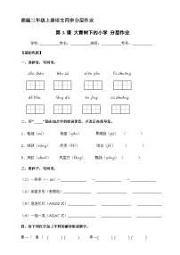 小学语文大青树下的小学精品同步练习题