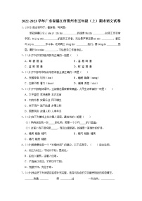 广东省湛江市雷州市2022-2023学年五年级上学期期末语文试卷