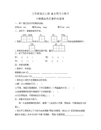 小学语文人教部编版三年级上册铺满金色巴掌的水泥道课时练习