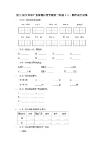 广东省梅州市大埔县2022-2023学年二年级下学期5月期中语文试题