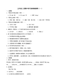 15、期中常考易错检测卷（含答案）2023-2024学年语文五年级上册统编版